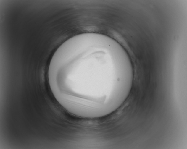 X0000088460106200706191336