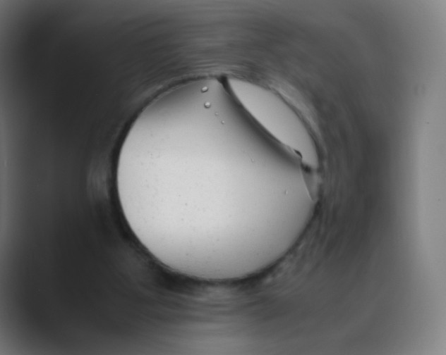 X0000088460107200706191336