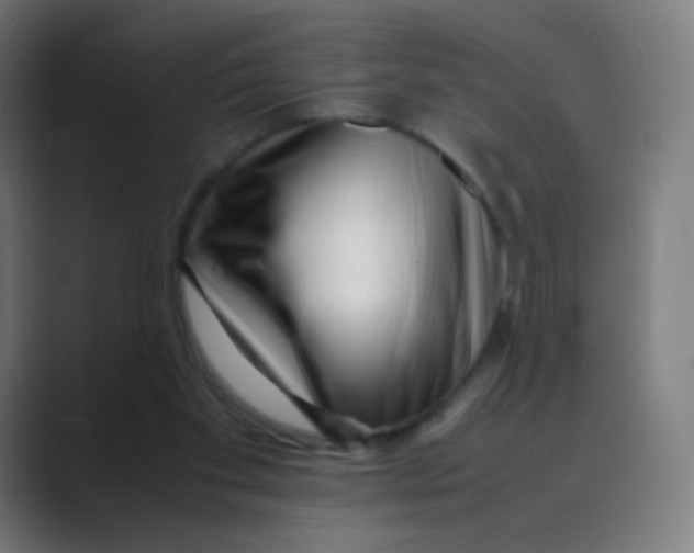 X0000088460109200706191336