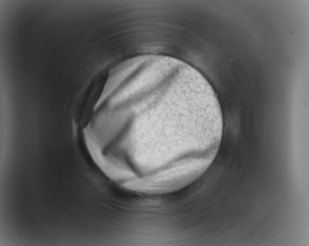 X0000088460110200706191336