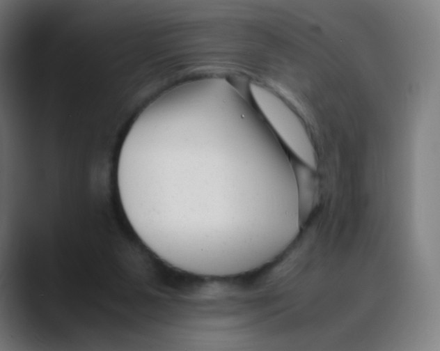 X0000088460111200706191336
