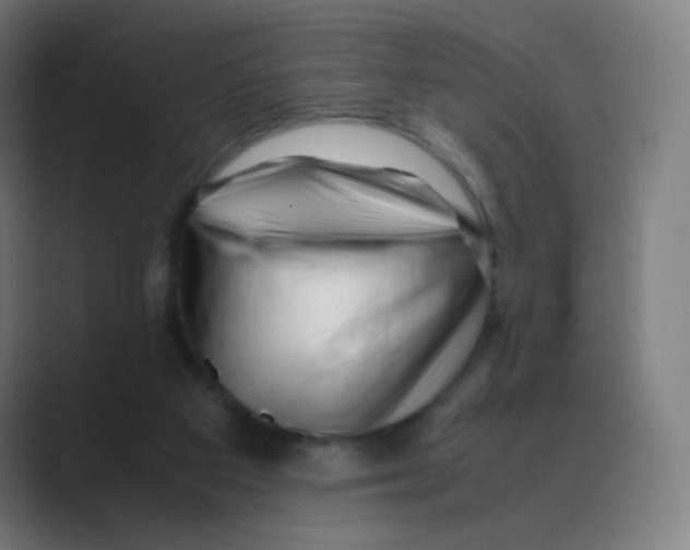 X0000088460113200706191336