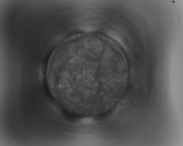 X0000088460114200706191336