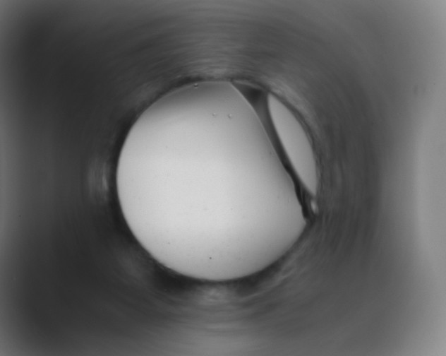 X0000088460115200706191336