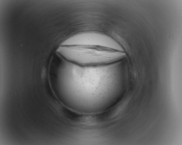 X0000088460117200706191336