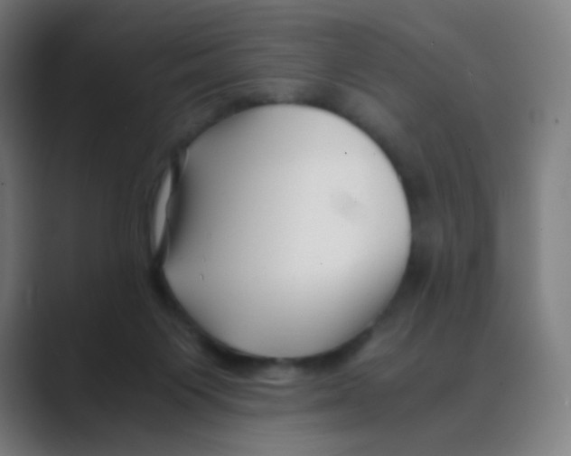 X0000088460119200706191336