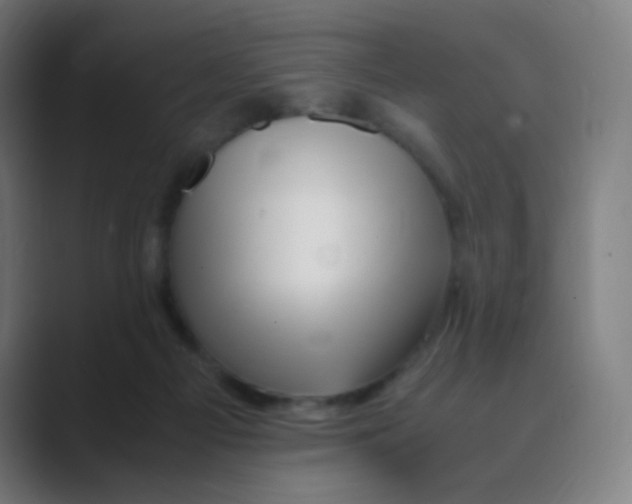 X0000088460121200706191336