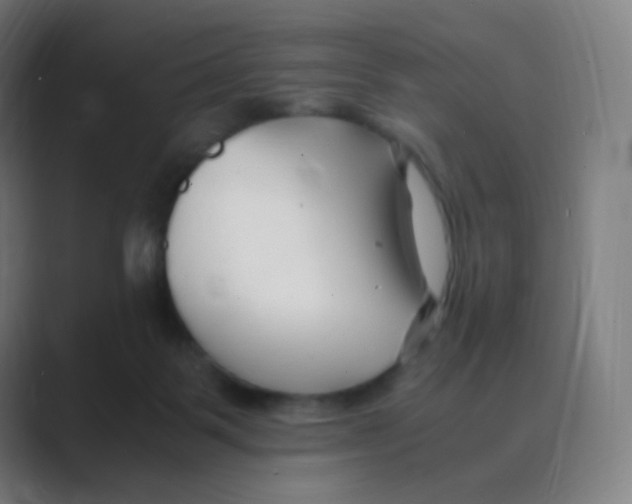 X0000088460123200706191336