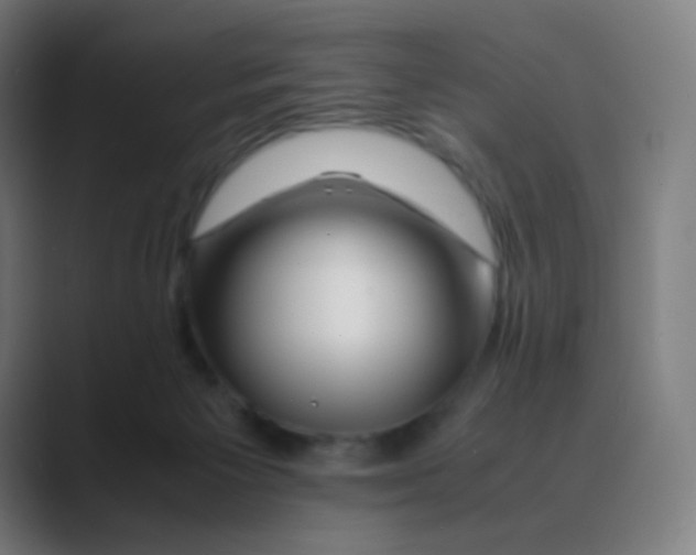 X0000088460125200706191336