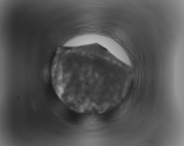 X0000088460127200706191336