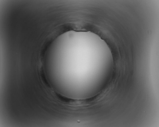 X0000088460129200706191336
