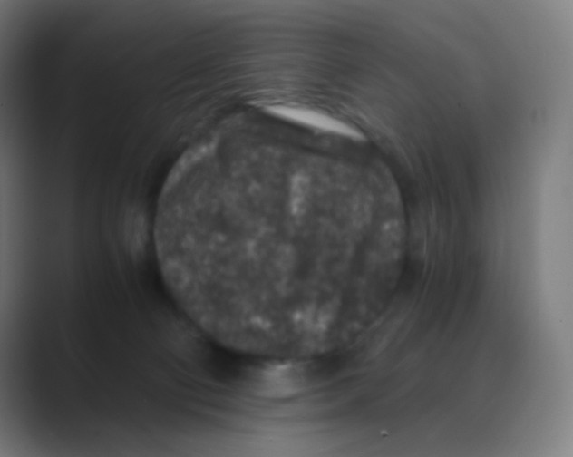 X0000088460130200706191336