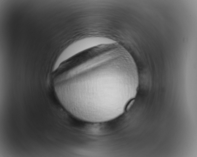 X0000088460131200706191336