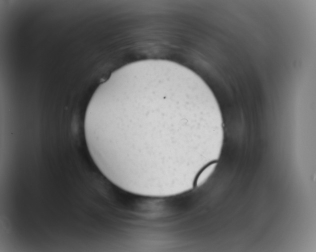X0000088460132200706191336
