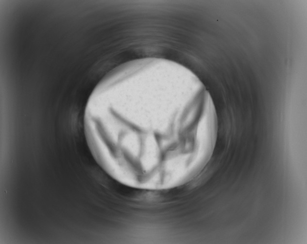 X0000088460140200706191336