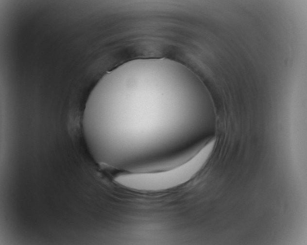 X0000088460141200706191336