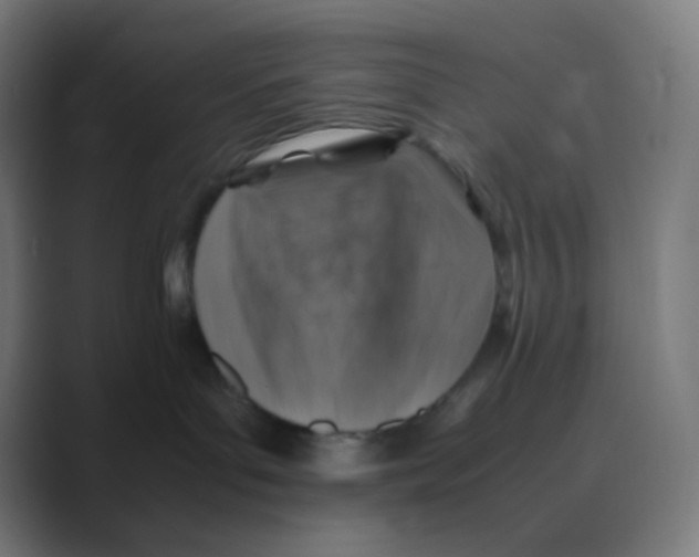 X0000088460143200706191336