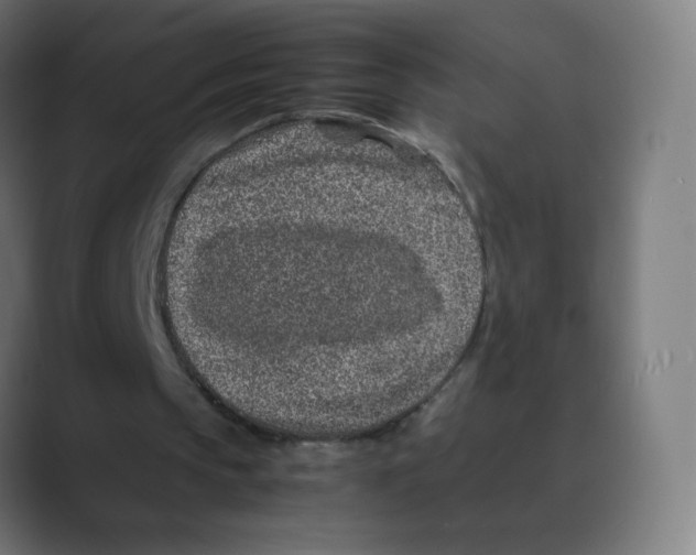 X0000088460145200706191335