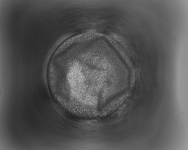 X0000088460147200706191335