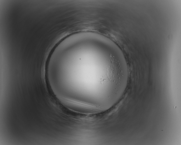 X0000088460148200706191335