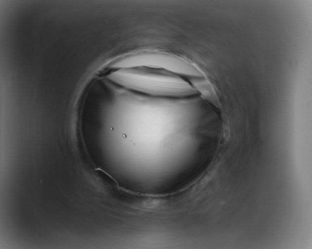 X0000088460152200706191335
