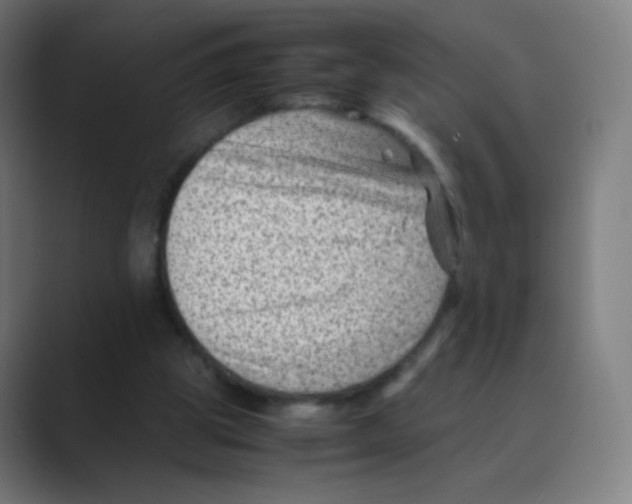 X0000088460153200706191335