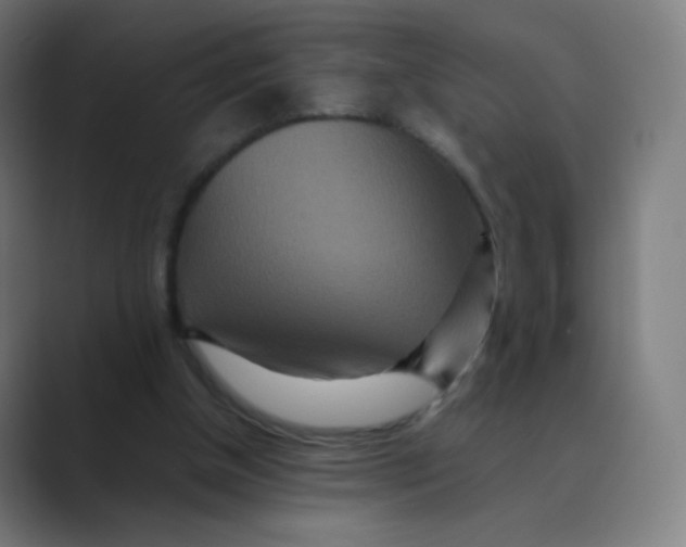 X0000088460154200706191335