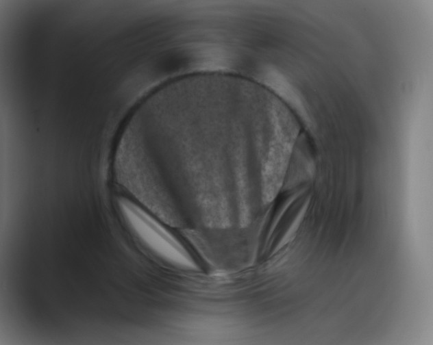 X0000088460156200706191335