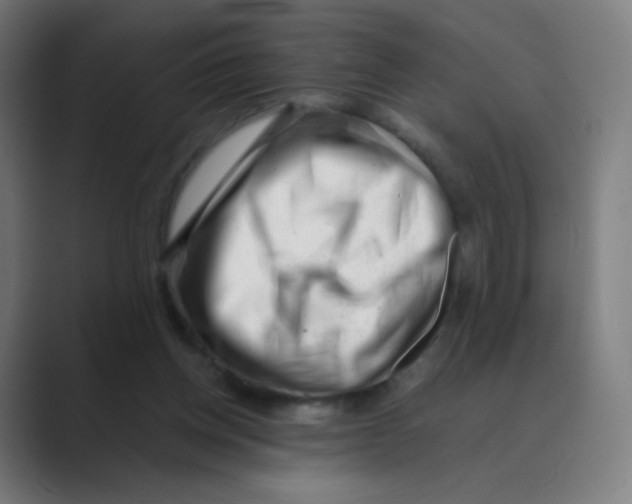 X0000088460158200706191335