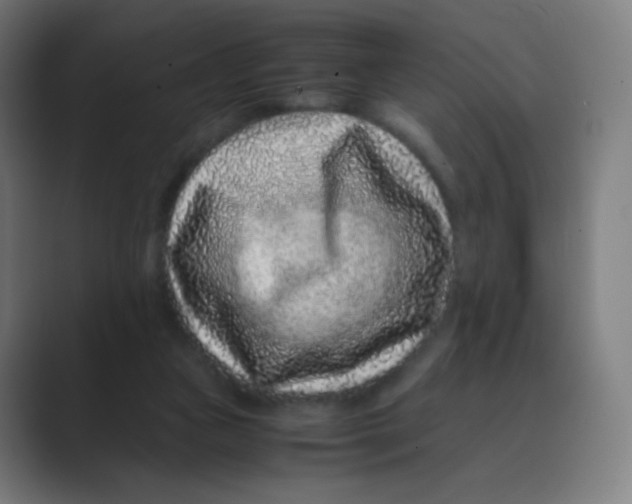 X0000088460161200706191335