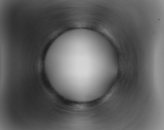 X0000088460164200706191335