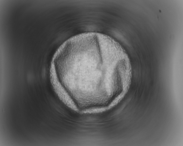 X0000088460165200706191335