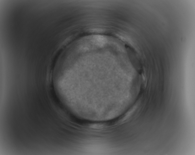 X0000088460168200706191335