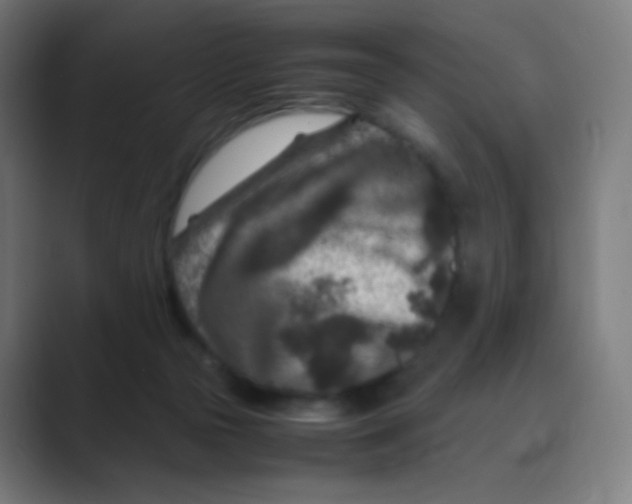 X0000088460169200706191335