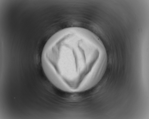 X0000088460173200706191336