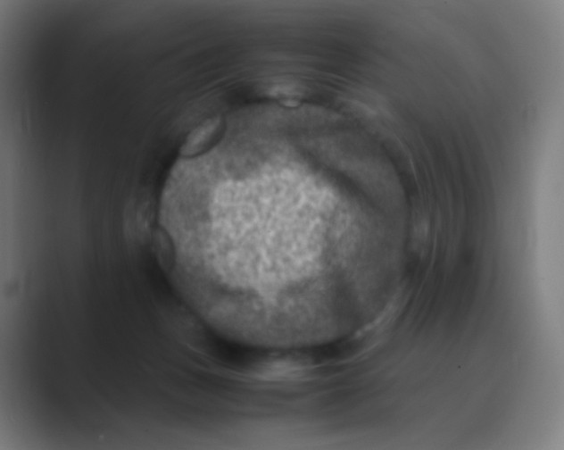 X0000088460175200706191336