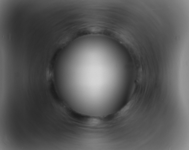 X0000088460176200706191336