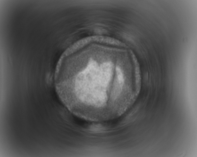X0000088460177200706191336