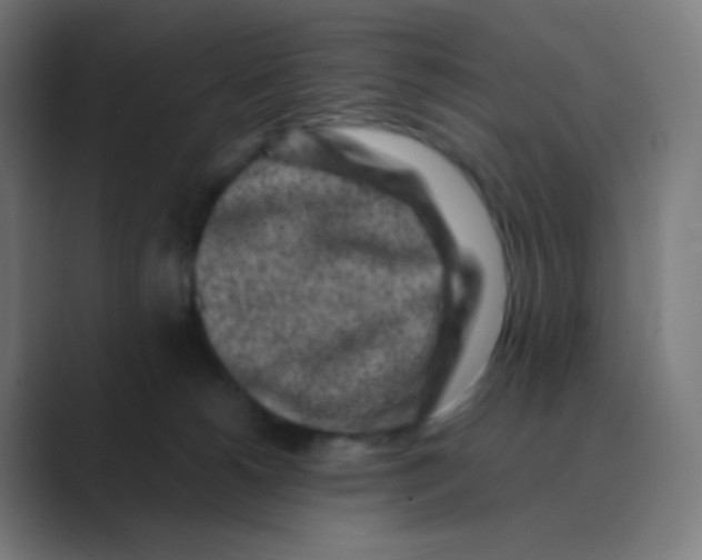 X0000088460180200706191336
