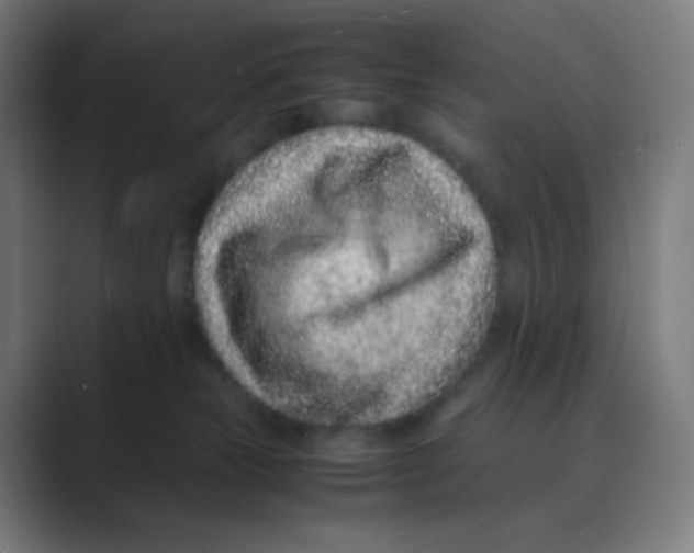 X0000088460181200706191336