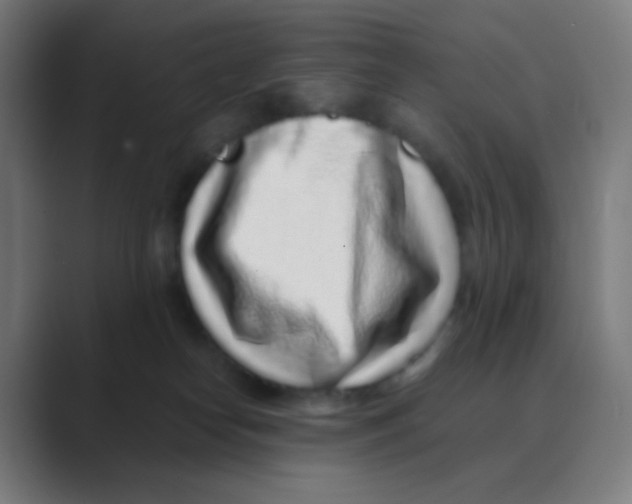 X0000088460182200706191336