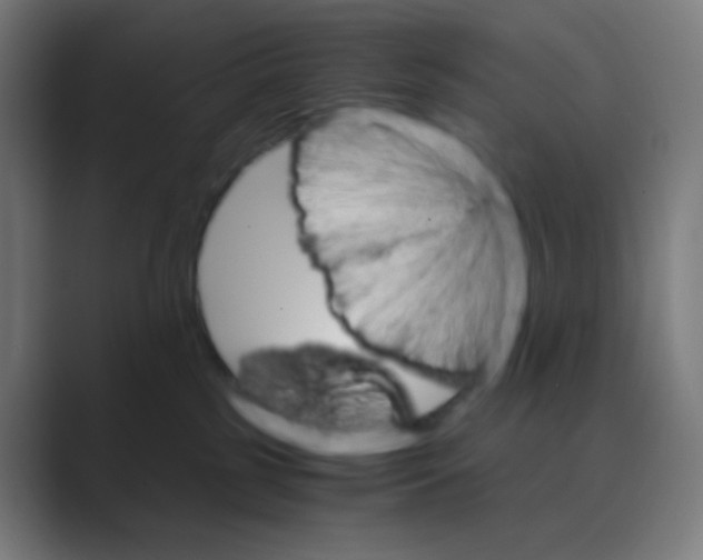X0000088460185200706191336