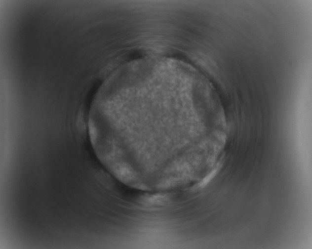 X0000088460186200706191336