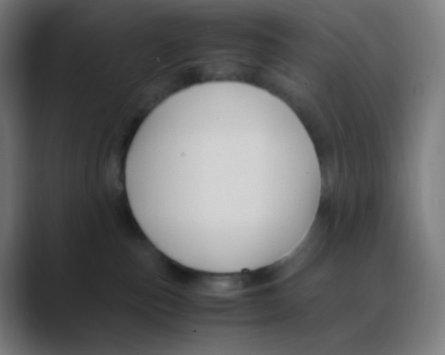 X0000088460187200706191336