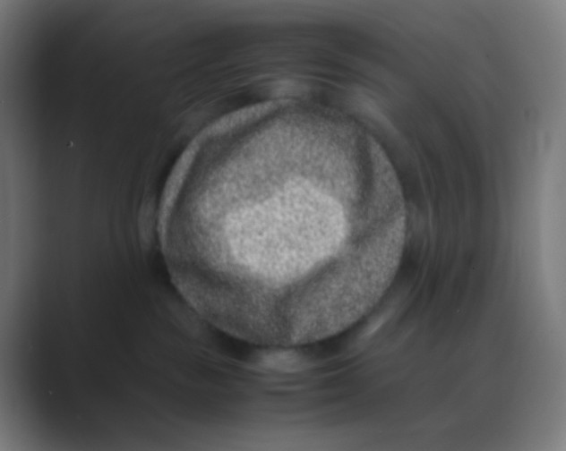 X0000088460189200706191336
