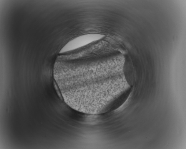 X0000088460192200706191336