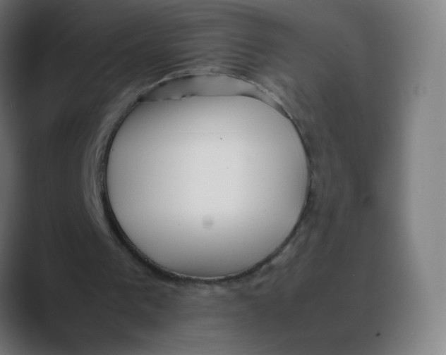 X0000088460193200706191335