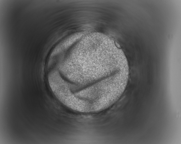 X0000088460194200706191335