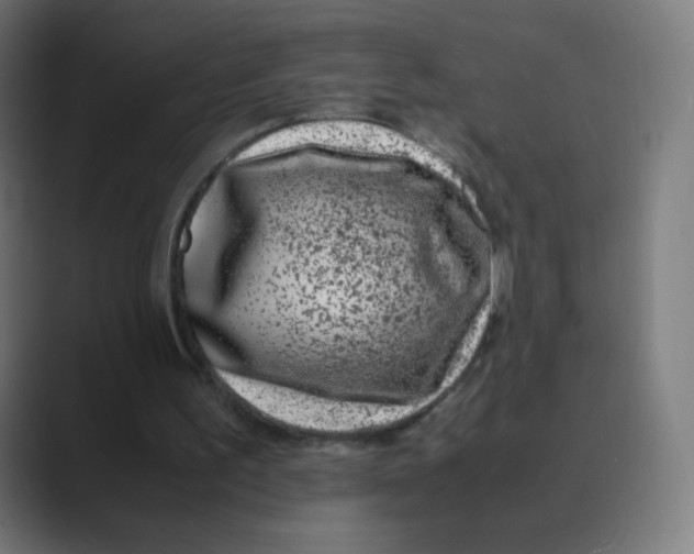X0000088460195200706191335