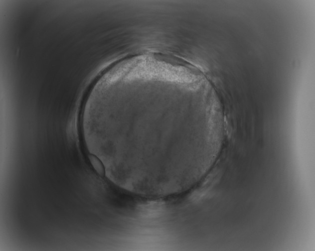 X0000088460196200706191335